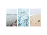 Seagull Watch Prints