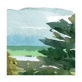 Verano I Pósters Verano I Pósters
