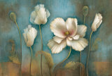 Poppy Melody Prints by Elaine Vollherbst-Lane