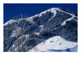 Peak of "Baldy" Ski Mountain, Sun Valley, Idaho, USA Photographie par Stephen Saks