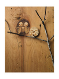 Wood Owl Knots Print