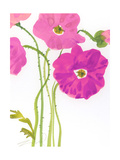 Watercolor Floral Photo
