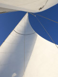 White Sails Flying Posters White Sails Flying Posters