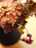 Spring Floral Medley Coral Posters