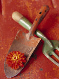 Trowel and Blossom Posters