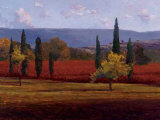 St. Saturnin Study Limited Edition by Kent Lovelace