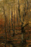 Into The Forest I Edición limitada por Jennie Tomao Into The Forest I Edición limitada por Jennie Tomao