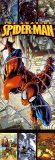 O Homem-Aranha Pôsters O Homem-Aranha Pôsters
