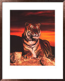 Tigre en el crepúsculo Arte por Ron Kimball Tigre en el crepúsculo Arte por Ron Kimball