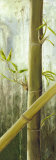 Rainforest I Posters by Maritta Haggenmacher