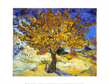 Árbol de Mulberry, ca. 1889 Láminas por Vincent van Gogh Árbol de Mulberry, ca. 1889 Láminas por Vincent van Gogh
