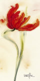 Tulipe I Pôsters por Marthe Tulipe I Pôsters por Marthe