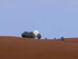 La Luna en Castilla Prints by Oscar Bento La Luna en Castilla Prints by Oscar Bento