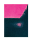 Shadows I, c.1979 (Black and Pink) Kunstdruck von Andy Warhol