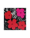 Flowers, c.1964 (Red and Pink) Plakat autor Andy Warhol Flowers, c.1964 (Red and Pink) Plakat autor Andy Warhol