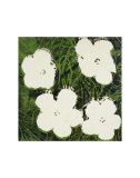 Flowers, c.1964 (White) Plakaty autor Andy Warhol Flowers, c.1964 (White) Plakaty autor Andy Warhol