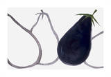 Aubergines Serigraph by Nicolas Le Beuan Bénic