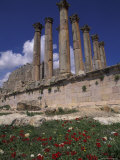 Columns in the Ancient Roman City in Jaresh, Jordan Fotografie-Druck von Richard Nowitz