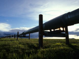Alaska Pipeline on the North Slope Photographic Print by Michael S. Quinton