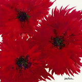 Untitled X Prints by Jean Picton