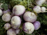 Bunch of Turnips for Sale at a Road-Side Market Photographic Print by Todd Gipstein