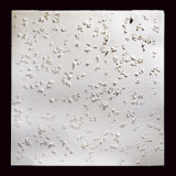 Pioggia di Carta, c.2007 Premium Giclee-trykk av Nicoletta Boris