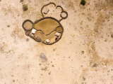 Boma on Heavily Used Barren Landscape, Ngorongoro Conservaton Area, Tanzania Photographic Print by Michael Fay