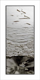 Dal Fuoco all'Aria, c.2007 reproduction procédé giclée par Nicoletta Boris
