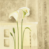Grazioso Prints by Sabine Poluschkin