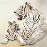 Tigres Blancs, Mere et Fille Posters van Danielle Beck Tigres Blancs, Mere et Fille Posters van Danielle Beck
