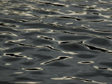 Abstract View of Sun Reflecting on the Rippled Water Surface, Mystic, Connecticut Photographic Print by Todd Gipstein