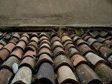 Close View of Terracotta Roof Tiles on a Rooftop in Venice, Italy Photographic Print by Todd Gipstein