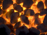 Coals on a Campfire Grill at the 4-H Photo Camp at Halsey, Ne Photographic Print by Joel Sartore