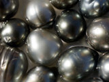 Black Pearls Displayed in a Pearl Oyster Shell, Takapoto Atoll, French Polynesia Photographie par Tim Laman