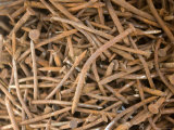Bunch of Rusty Nails, Lincoln, Nebraska Photographie par Joel Sartore