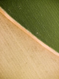 Alfalfa Crop with Pivot Irrigation, Zambia Photographic Print by Michael Fay