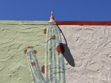 Cactus Mural Building Exterior, Marin, California Photographic Print