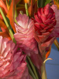 Colorful Tropical Flowers at Farmers Market Waimea Bay, Hawaii Photographie par Bill Hatcher