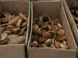 Boxes of Breads and Pastries, Mexico Photographic Print by Gina Martin