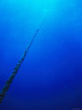 Blue Open Water Rope Leading to Surface, Belize Fotografie-Druck von James Forte