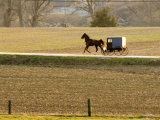 Amish Horse and Buggy, Pennsylvania Photographic Print by Tim Laman