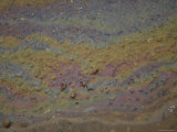 Close-Up of a Parking Lot Oil Slick in the Rain, New Mexico Lámina fotográfica por Joel Sartore Close-Up of a Parking Lot Oil Slick in the Rain, New Mexico Lámina fotográfica por Joel Sartore