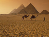 Giza Pyramids with Man Leading Two Camels Across the Desert in Egypt Photographic Print by Richard Nowitz