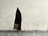 Black Cat Peers Out from its Hideaway, Tsukiji Fish Market, Japan Photographic Print by James L. Stanfield