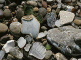 Close View of Glass and Ceramic on Glass Beach, A Former Dump Site, California Photographie par Sylvia Sharnoff