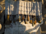 Brushes in a Canvas Paint Brush Holder Illuminated by Sunlight, Block Island, Rhode Island Photographie par Todd Gipstein