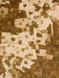 Dense Agriculture in the Greater Floodplains of the Chari River, Chad Photographic Print by Michael Fay