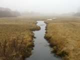 Early Morning Cape Cod Marsh Scene, Chatham, Cape Cod, United States, Massachusetts Photographic Print by Brimberg & Coulson 