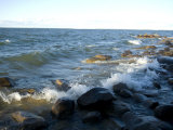 Along the Shores of Leech Lake, Mn, Walker, Minnesota Photographie par Joel Sartore