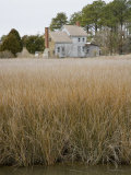 Abandoned House Among Coastal Grasses on Chesapeake Bay, Maryland Photographie par David Evans